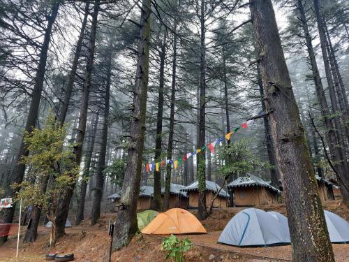 Himtrek’s Triund Camp