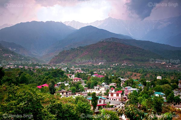 Dharamshala to Palampur