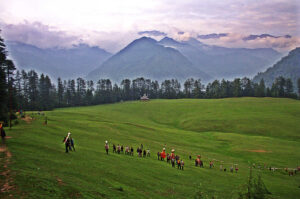 Sainj Valley