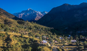 Camp in Dharamshala