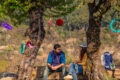 Day Picnic