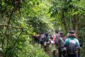 Trekking