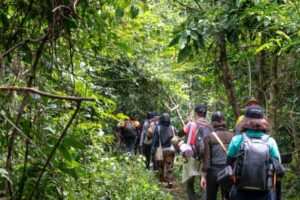 Trekking