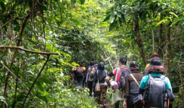 Trekking