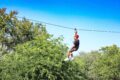 Zipline