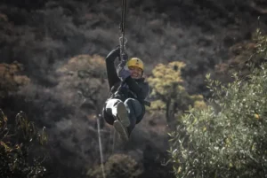 Zipline