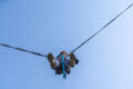 Bungee Slingshot
